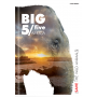 Zeszyt Top 2000 Big 5 A5/32 kratka, z marginesem - 4