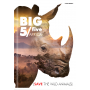 Zeszyt Top 2000 Big 5 A5/32 kratka, z marginesem - 5