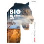 Zeszyt Top 2000 Big 5 A5/32 kratka, z marginesem - 6