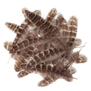 Pióra Kacze dpCraft 15-20cm, 5g