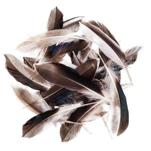 Pióra Kacze dpCraft 10-15cm, 10g