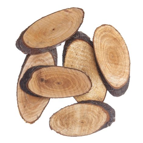 Plastry Drewna dpCraft Owal 5-8cm, 6szt