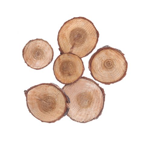 Plastry Drewna dpCraft Koło 4-5cm, 6szt