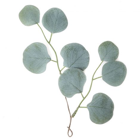 Gałązka Eukaliptusa dpCraft Okrągłe Liście, 30cm