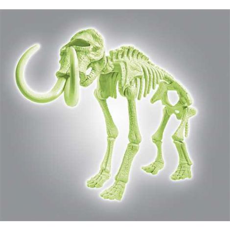 Skamieniałości Clementoni - Mamut Fluorescencyjny - 2