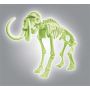 Skamieniałości Clementoni - Mamut Fluorescencyjny - 3