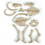 Skamieniałości Clementoni - Mamut Fluorescencyjny - 5
