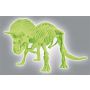 Skamieniałości Clementoni - Triceratops Fluorescencyjny - 3