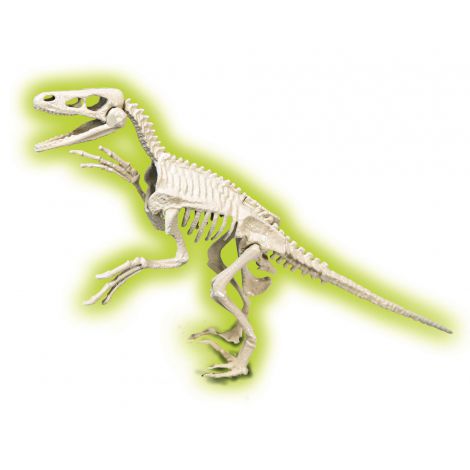 Skamieniałości Clementoni - Welociraptor