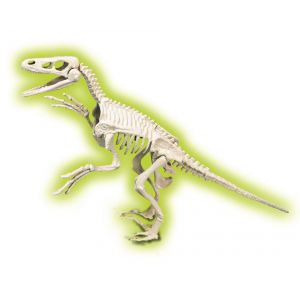 Skamieniałości Clementoni - Welociraptor