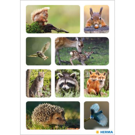 Naklejka Decor, Zwierzęta leśne