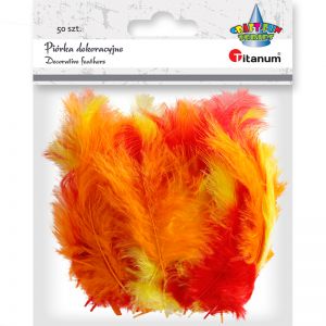 Piórka Hasta 9-15cm Mix, 50szt