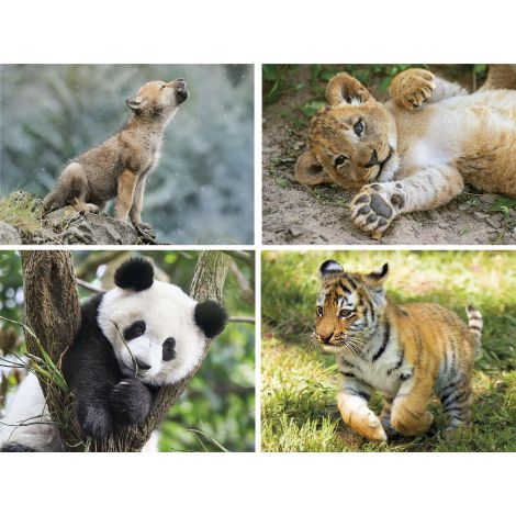 Puzzle Clementoni 20+60+100+180el Supercolor Progressive Wildlife - 2