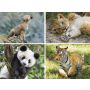 Puzzle Clementoni 20+60+100+180el Supercolor Progressive Wildlife - 3