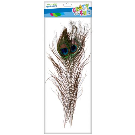 Piórka Pawie CWF 32cm