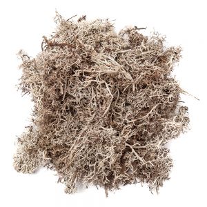 Mech naturalny dpCraft Bielony, 30g