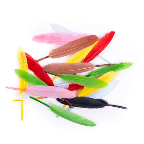 Pióra Gęsie dpCraft 13cm Multikolor, 20szt