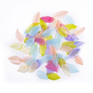 Pióra Gęsie dpCraft 6cm Pastel, 5g