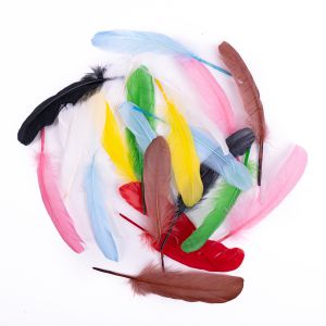 Pióra Gęsie dpCraft 16cm Multikolor, 20szt