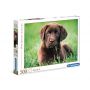 Puzzle Clementoni 500el Chocolate Puppy - 2