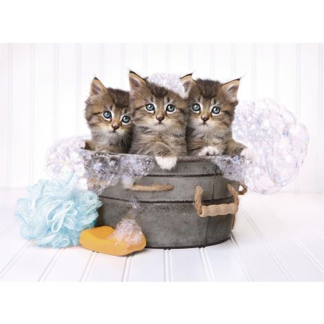 Puzzle Clementoni 500el Kittens And Soap - 2