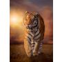 Puzzle Clementoni 1500el Tiger - 3