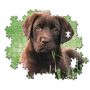 Puzzle Clementoni 500el Chocolate Puppy - 4