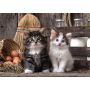 Puzzle Clementoni 1000el Lovely Kittens - 3