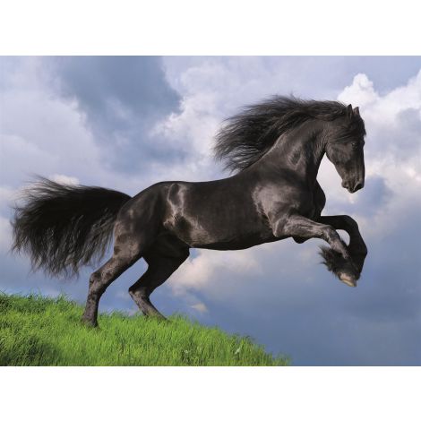 Puzzle Clementoni 500el Fresian Black Horse - 2