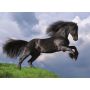 Puzzle Clementoni 500el Fresian Black Horse - 3