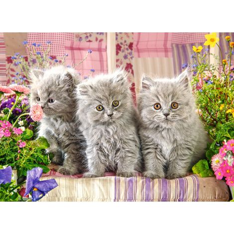 Puzzle Castorland 300el Trzy szare kotki - 2