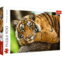 Puzzle Trefl 500el Portret Tygrysa - 2