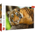 Puzzle Trefl 500el Portret Tygrysa