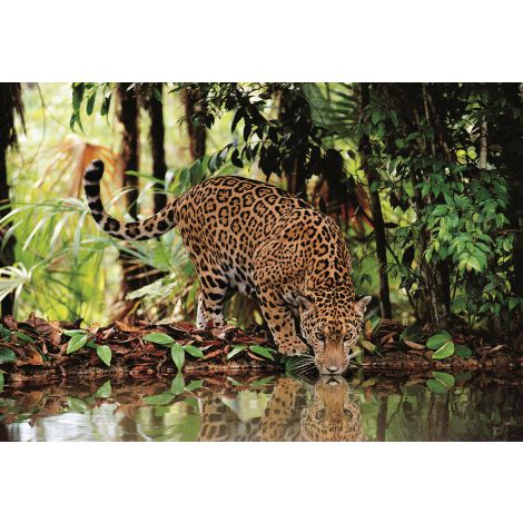 Puzzle Clementoni 2000el Leopard - 2