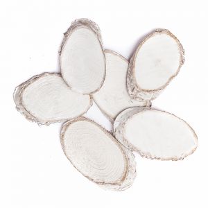 Plastry Drewna dpCraft Bielone Owal 5-8cm, 6szt