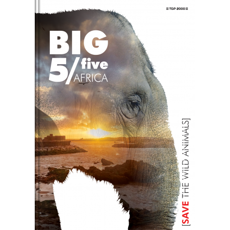 Brulion Top 2000 Big 5 A5/96 kratka, z marginesem - 3