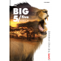 Brulion Top 2000 Big 5 A5/96 kratka, z marginesem - 3