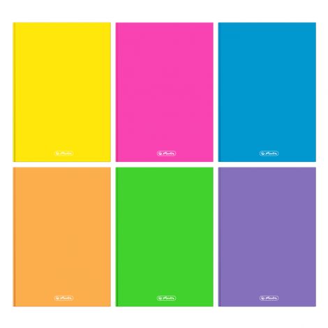 Brulion Herlitz Color Blocking A4/96 kratka