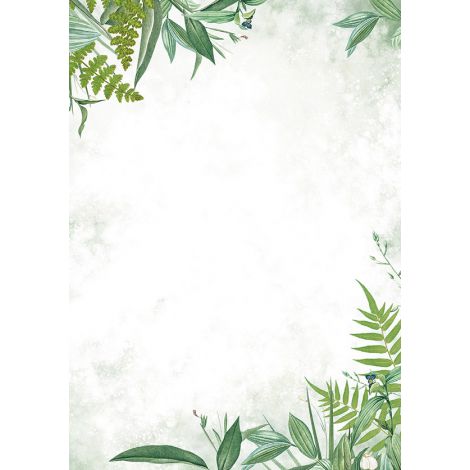 Barwne Arkusze Argo Flora A4 50szt