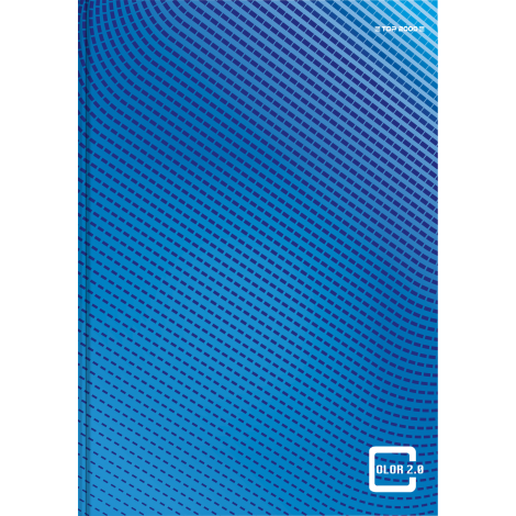 Brulion Top 2000 Color 2.0 B5/160 kratka, z marginesem