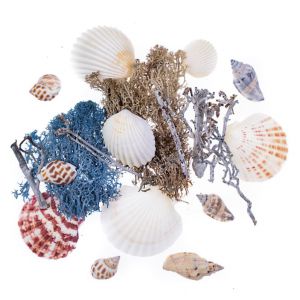 Elementy naturalne dpCraft Mix Morski, 75g