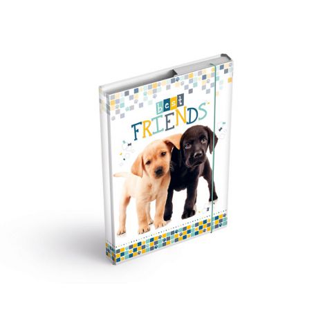 Teczka MFP A5 z gumką, skrzydłowa, Pieski Best Friends