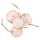 Plastry Drewna dpCraft ze sznurkiem, 4szt
