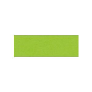 Karton kolorowy Happy Color A4/25/170g Zielony jasny