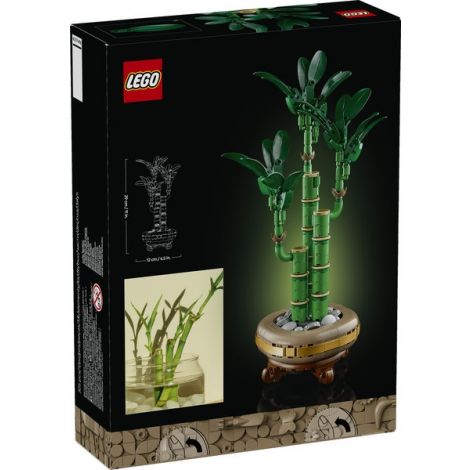 LEGO Botanicals 10344 Dracena sandera - 3