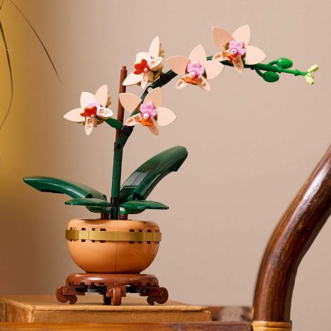 LEGO Botanicals 10343 Mała orchidea - 2