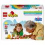 LEGO Duplo 10452 Świnka Peppa Wyprawa na biwak - 3