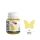 Farba akrylowa Koh-i-Noor Rosa 20ml perłowa Żółta/Yellow