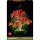 LEGO Botanicals 10348 Klon palmowy bonsai