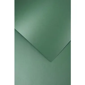 Karton ozdobny Argo Brillo Zielony A4/20ark/200g
